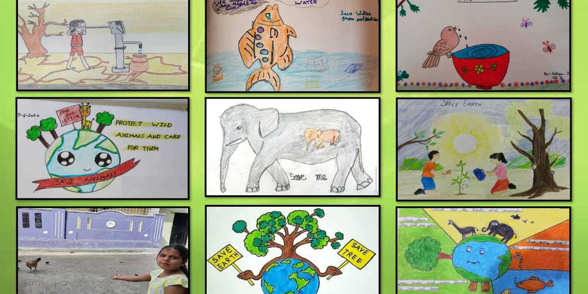 Sketch for Survival Junior – Explorers Against Extinction